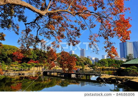 Hamarikyū Imperial Garden of autumn Hamarikyū Imperial Garden of autumn 84686806