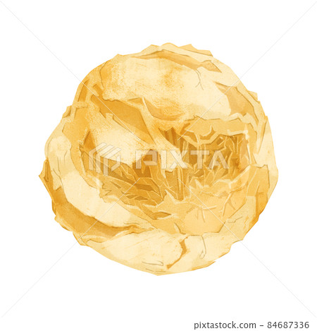 Hand drawn watercolor style illustration of cream puff 84687336