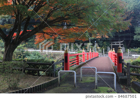別子線的最下游、正寺橋和秋色中的內宮神社 別子線的最下游、正寺橋和秋色中的內宮神社 84687501