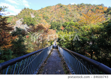 洋李咆哮公園吊橋 洋李咆哮公園吊橋 84688743