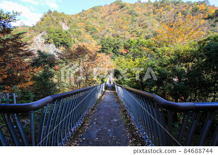 Plum tree roaring park Suspension bridge Plum tree roaring park Suspension bridge 84688744