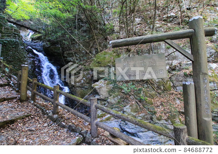 Umenoki Todoroki 瀑布 84688772