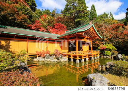 The villa of Heike 84688796
