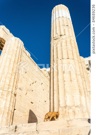 Ruined columns of the Acropolis of Athens in Greece, with a cat. Ruined columns of the Acropolis of Athens in Greece, with a cat. 84689236