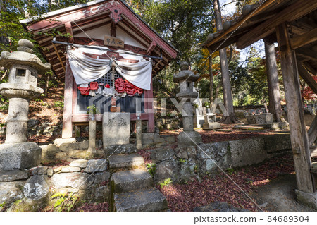 秋天的京都山科毗沙門堂 84689304