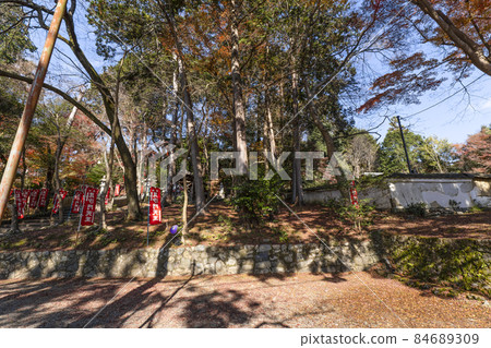 秋天的京都山科毗沙門堂 84689309