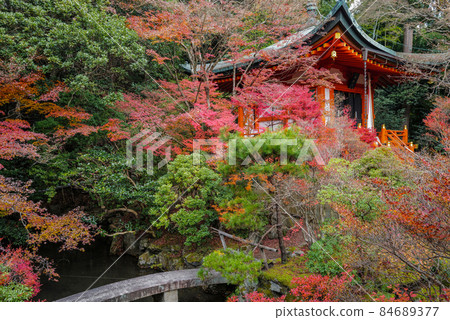 秋天的京都山科毗沙門堂 84689377