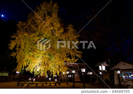 Illuminated at Imamiya Shrine 84689705