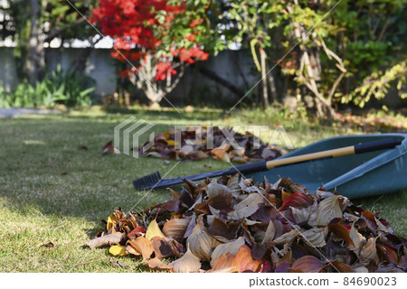 Cleaning of fallen leaves in the garden Cleaning of fallen leaves in the garden 84690023