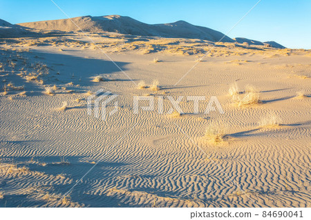 Mojave Desert in California. 84690041