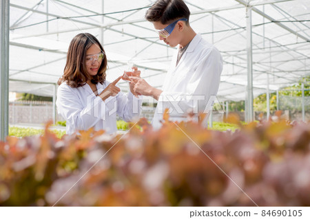 Hydroponics, two Asian scientists, tested the standards and collected chemical data of the organic vegetables grown using hydroponics in the nursery Hydroponics, two Asian scientists, tested the standards and collected chemical data of the organic vegetables grown using hydroponics in the nursery 84690105