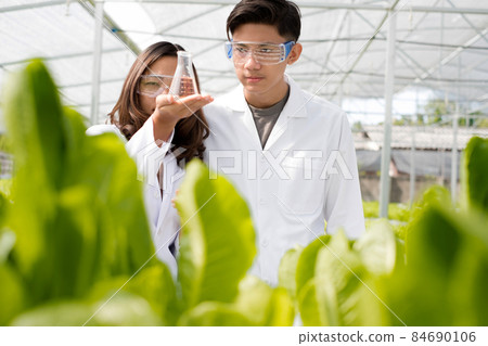 Hydroponics, two Asian scientists, tested the standards and collected chemical data of the organic vegetables grown using hydroponics in the nursery 84690106
