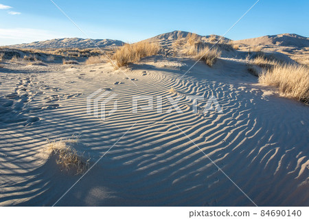 Mojave Desert in California. Mojave Desert in California. 84690140
