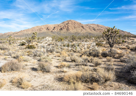 Mojave Desert in California. Mojave Desert in California. 84690146