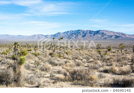 Mojave Desert in California. Mojave Desert in California. 84690148