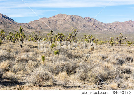 Mojave Desert in California. Mojave Desert in California. 84690150