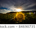 向日葵日落 84690735