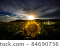 向日葵日落 84690736