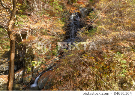 山梨縣山梨市三富上鐮口 吹吹川上的瀑布 Ichinokama 瀑布 流過 Kama 旁邊的 Kamazawa 瀑布的秋葉 山梨縣山梨市三富上鐮口 吹吹川上的瀑布 Ichinokama 瀑布 流過 Kama 旁邊的 Kamazawa 瀑布的秋葉 84691164