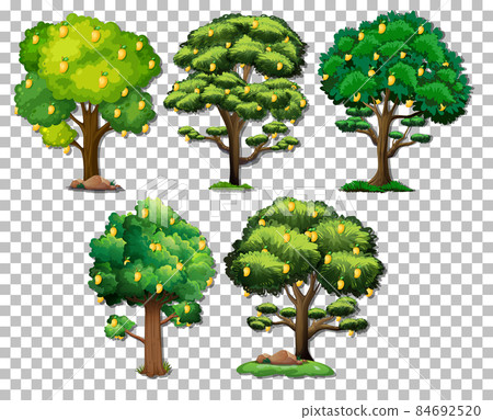 Set of different trees on transparent background Set of different trees on transparent background 84692520