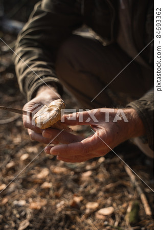 Senior man kneeling at the forest and holding mushroom and knife after the collecting 84693362