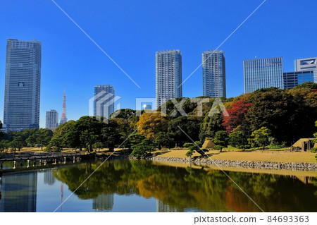 秋天的Hamarikyū皇家花園 84693363