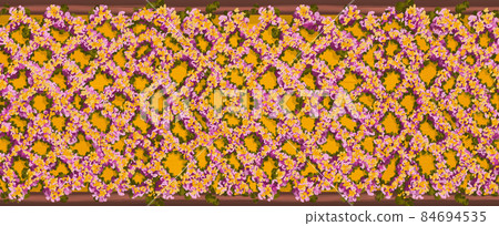 Oil painting horizontal floral seamless border. Trellis with abstract pink rose flowers and leaves on bright yellow background. Oil painting horizontal floral seamless border. Trellis with abstract pink rose flowers and leaves on bright yellow background. 84694535