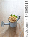 豆類 84695913