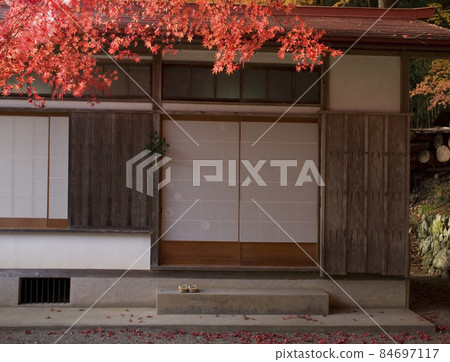 神社區的秋葉風光-10 84697117