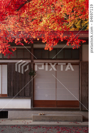 神社區的秋葉風光-11 神社區的秋葉風光-11 84697119