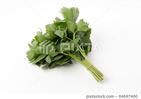 Longevity grass (Button bow fish) Longevity grass (Button bow fish) 84697400