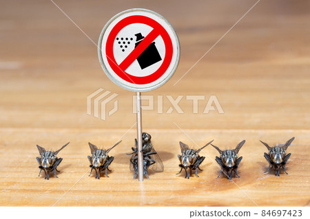 The flies stands in line with an board with a symbol ban of insecticides. 84697423