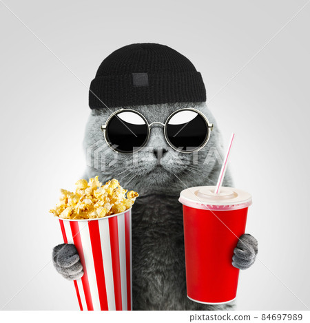 Funny Cat Round Sunglasses Close-up Stock Photo 1158136207 | Shutterstock