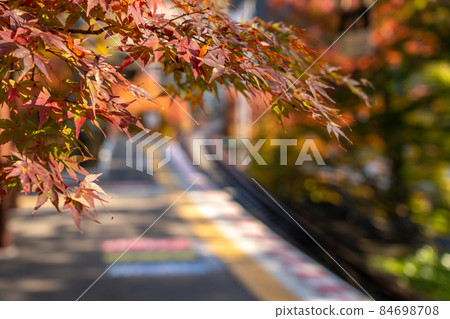 秋季貴船神社及周邊景色 秋季貴船神社及周邊景色 84698708