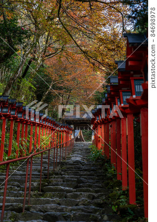秋季貴船神社及周邊景色 84698978