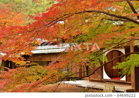 Autumn in Kamakura, Kanagawa 84699222