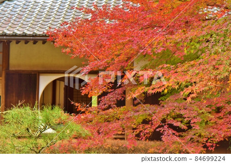 Autumn in Kamakura, Kanagawa 84699224