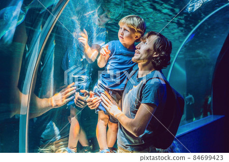Father and son looking at fish in a tunnel aquarium Father and son looking at fish in a tunnel aquarium 84699423