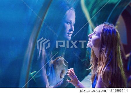 Young woman looking at fish in a tunnel aquarium Young woman looking at fish in a tunnel aquarium 84699444