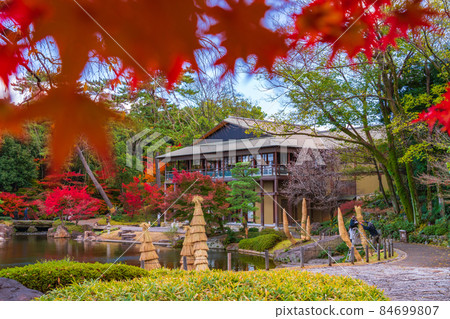 秋天的德川園<愛知縣名古屋市> 秋天的德川園<愛知縣名古屋市> 84699807