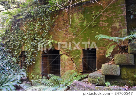 陽光明媚的冬天猿島神奈川 84700547