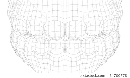 Wire-frame 3D teeth close up - Stock Illustration [84700778] - PIXTA