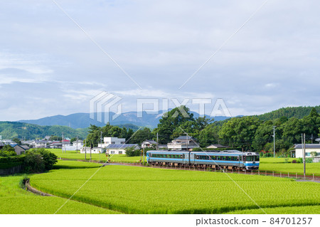 [Mugi Line] Early morning limited express Muroto 84701257