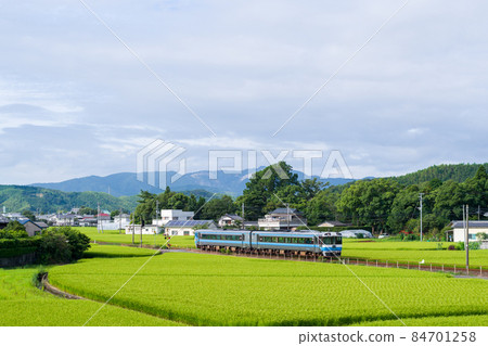 [Mugi Line] Early morning limited express Muroto 84701258