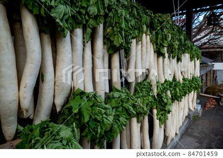 Radish dried on the eaves Radish dried on the eaves 84701459