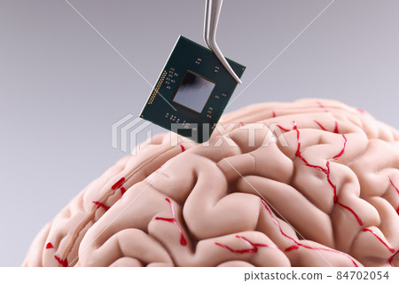 Human brain and computer chip. Microprocessor in head Human brain and computer chip. Microprocessor in head 84702054