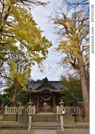 Autumn Kameoka Hachimangu Shrine Kanagawa Autumn Kameoka Hachimangu Shrine Kanagawa 84702286