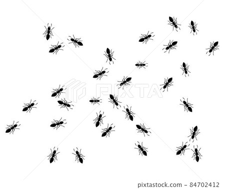 ant logo icon vector illustration design ant logo icon vector illustration design 84702412