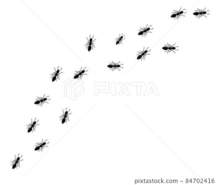 ant logo icon vector illustration design ant logo icon vector illustration design 84702416