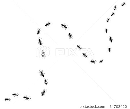 ant logo icon vector illustration design ant logo icon vector illustration design 84702420